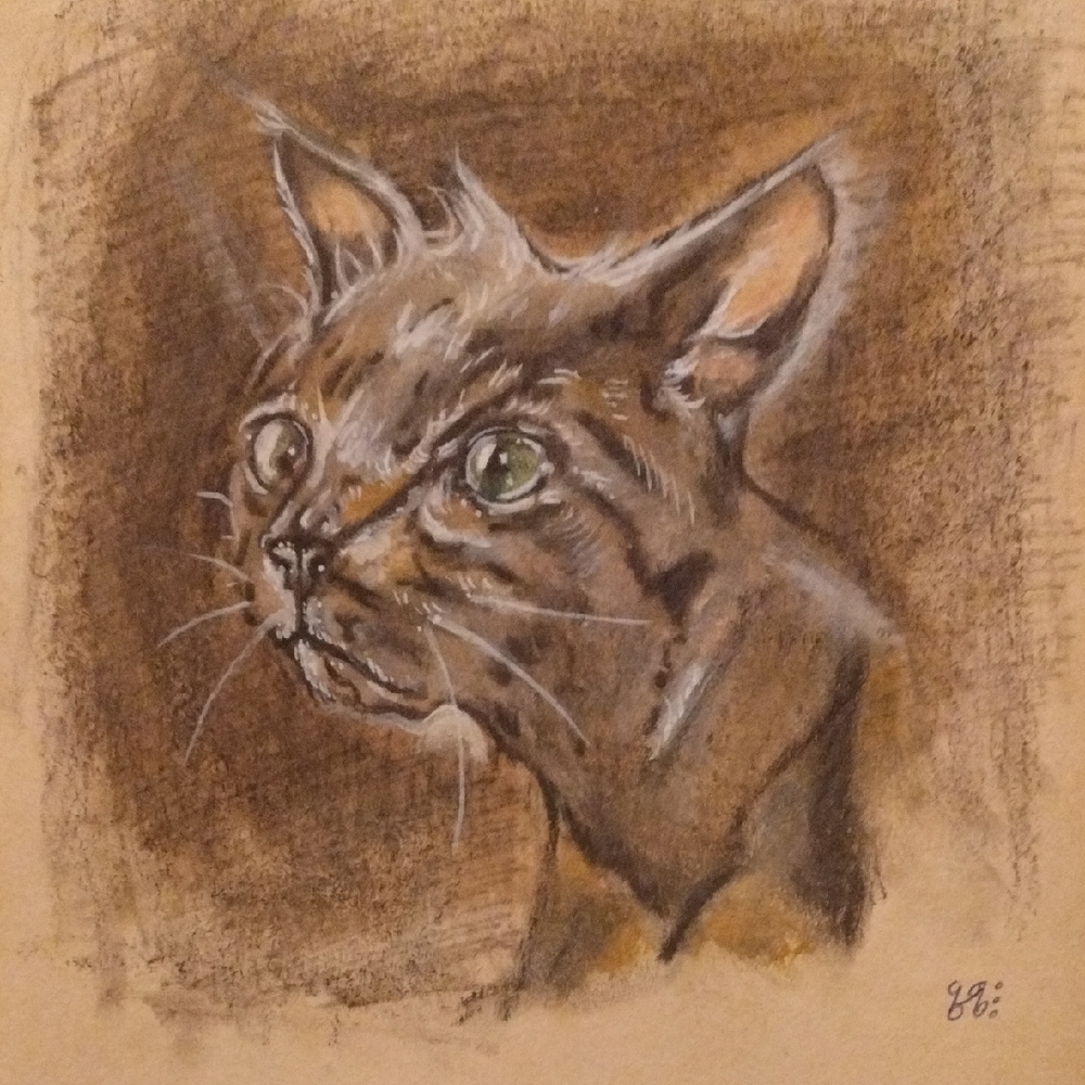 Majestic Cat Portrait in Brown Tones